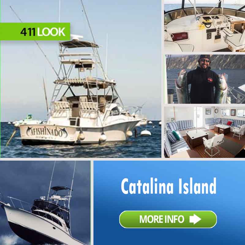 411Look ARTBOX afishinado charters