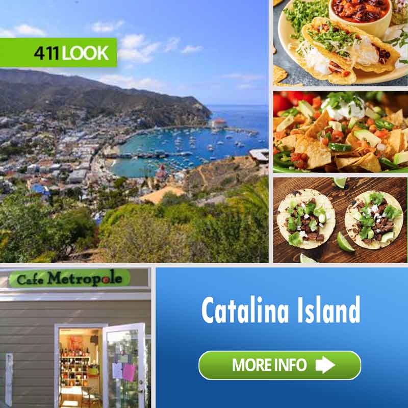 411Look ARTBOX cafe metropole