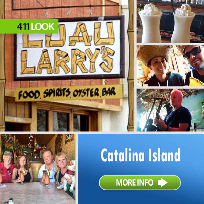 411Look ARTBOX luau larrys