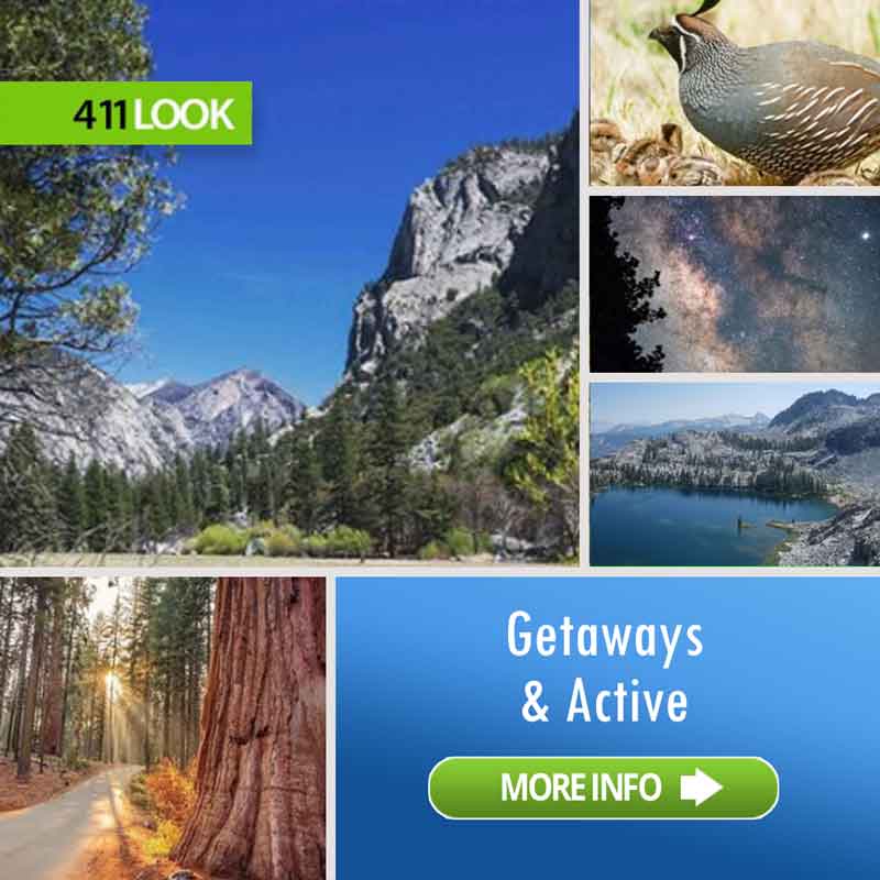 411Look ARTBOX sequoia and kings canyon national parks