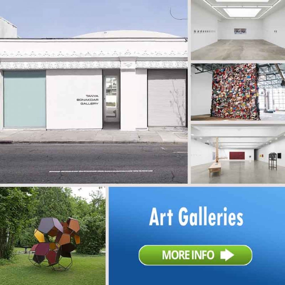 Tanya Bonakdar Gallery